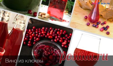 Рецепты приготовления вина из клюквы в домашних условиях Приготовление вина из клюквы по классическому рецепту. Рецепт клюквенного вина без закваски, а так же быстрый рецепт приготовления на спирту или водке.