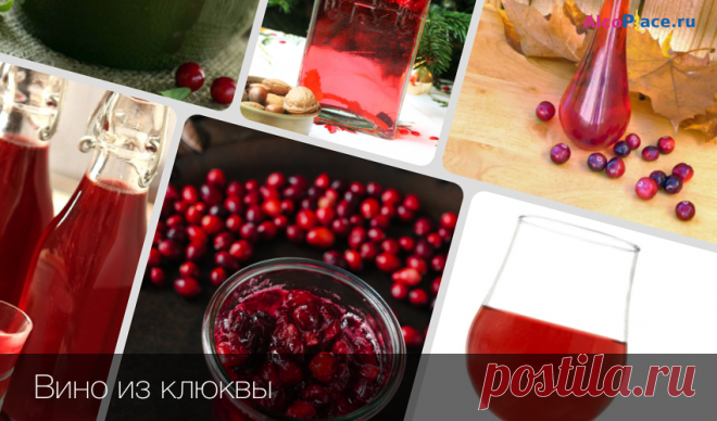 Рецепты приготовления вина из клюквы в домашних условиях Приготовление вина из клюквы по классическому рецепту. Рецепт клюквенного вина без закваски, а так же быстрый рецепт приготовления на спирту или водке.