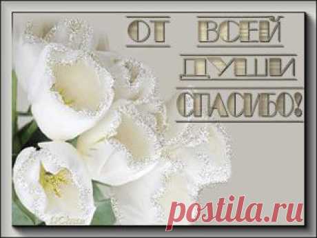 Поздравляю с Днем Святого Николая!