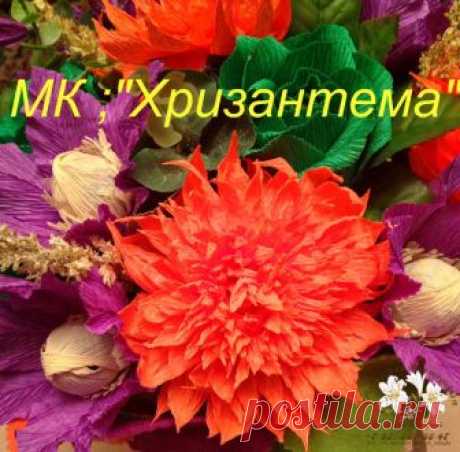 МК "Хризантема"