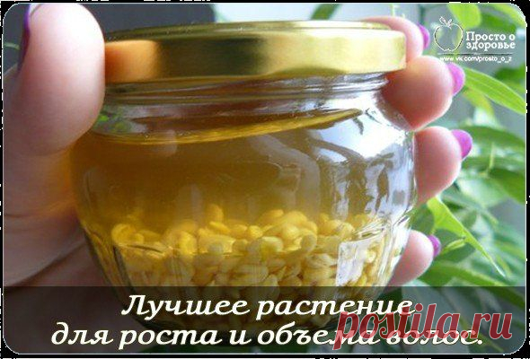 Лучшее растение для роста и объема волос.