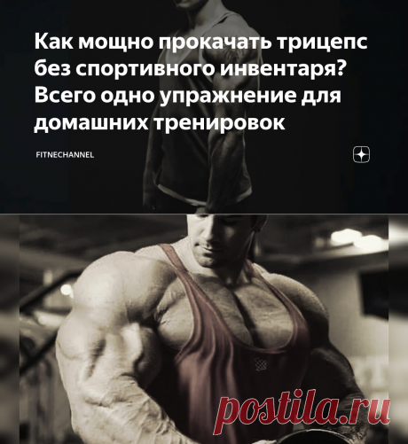 Как мощно прокачать трицепс без спортивного инвентаря? Всего одно упражнение для домашних тренировок | fitnechannel | Дзен