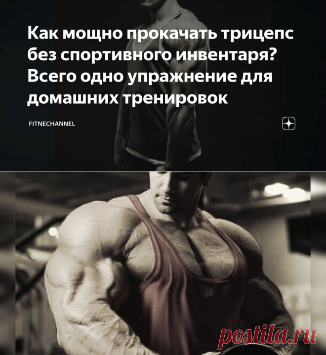 Как мощно прокачать трицепс без спортивного инвентаря? Всего одно упражнение для домашних тренировок | fitnechannel | Дзен