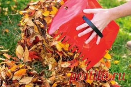 ОСЕННИЙ КОМПОСТ – ГАРАНТИЯ ОБИЛЬНОГО САДА — Копилочка полезных советов