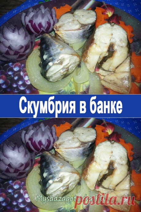 Скумбрия в банке — Сад Заготовка