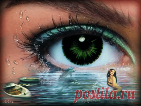 (3) Одноклассники