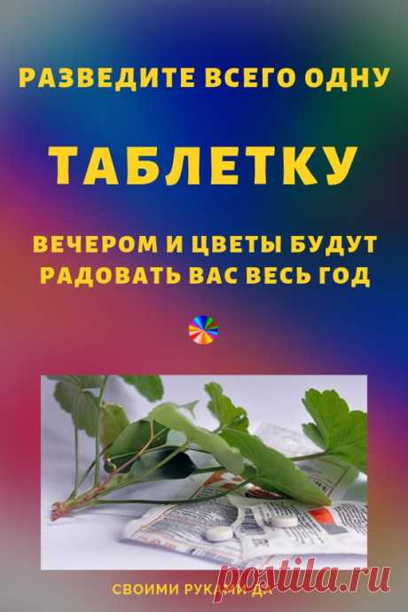 (16) Pinterest