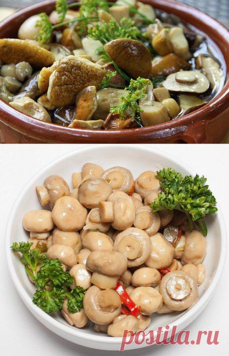 Простые рецепты маринованных грибов