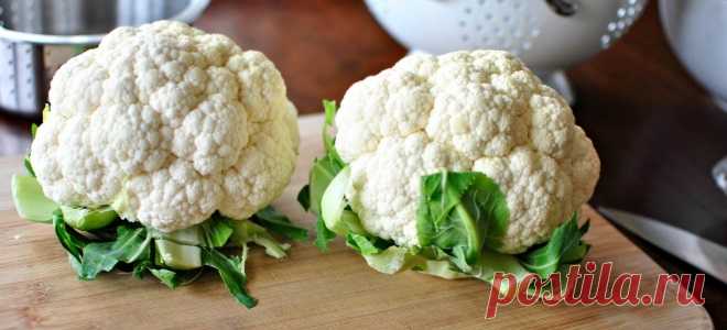 Блюда из цветной капусты – интересные рецепты на любой вкус! 

Блюда из цветной капусты характеризуются прекрасными вкусовыми качествами, сравнительно невысокой калорийностью и огромной питательной ценностью. Это позволяет, путем включения таковых в свое меню, …