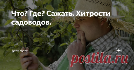 Что? Где? Сажать. Хитрости садоводов. Здравствуйте, здравствуйте, дорогие любители дачи и огорода!
Следующие простые советы и хитрости помогут вам добиться богатого урожая. Какие - то из них упростят дачную жизнь, а другие - украсят огород. А возможно, все произойдет одновременно!
"Дружба" на грядке помогает растениям выстоять в борьбе с вредителями. Некоторые огородные культуры обладают способностью отпугивать вредных насекомых.