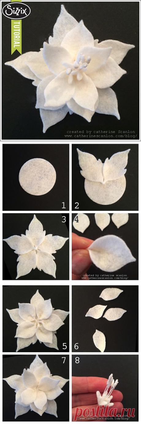 Итак, сегодня мне понадобилось 20 минут, чтобы создать этот прекрасный пуансеттия pin и я хотел бы поделиться, как вы можете сделать это слишком! Этот великолепный (и ОЧЕНЬ БЫСТРО) пуансеттия было сделано с помощью Сью