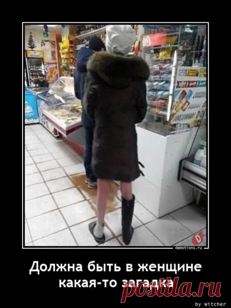 Если в вашем доме нет кота, кого вы любите тогда? - Приколисты - медиаплатформа МирТесен