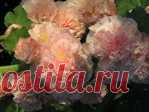 Соляное мыло