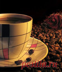 Как правильно выбрать кофе
Продажа свежеобжаренного кофе, кофе в зернах оптом
Аромат кофе, чаще всего, вызывает положительные эмоции. У многих из нас он ассоциируется с началом нового дня, полного надежд, солнечным утром, домашним уютом, романтическим свиданием, и прочим, и прочим. Кофе пробуждает организм и даёт заряд бодрости.
Однако, как правильно выбрать кофейные зёрна, знают лишь единицы.