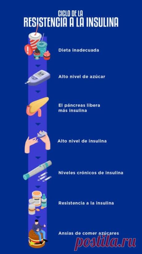 ¿Qué puedo comer en una dieta para la resistencia a la insulina?