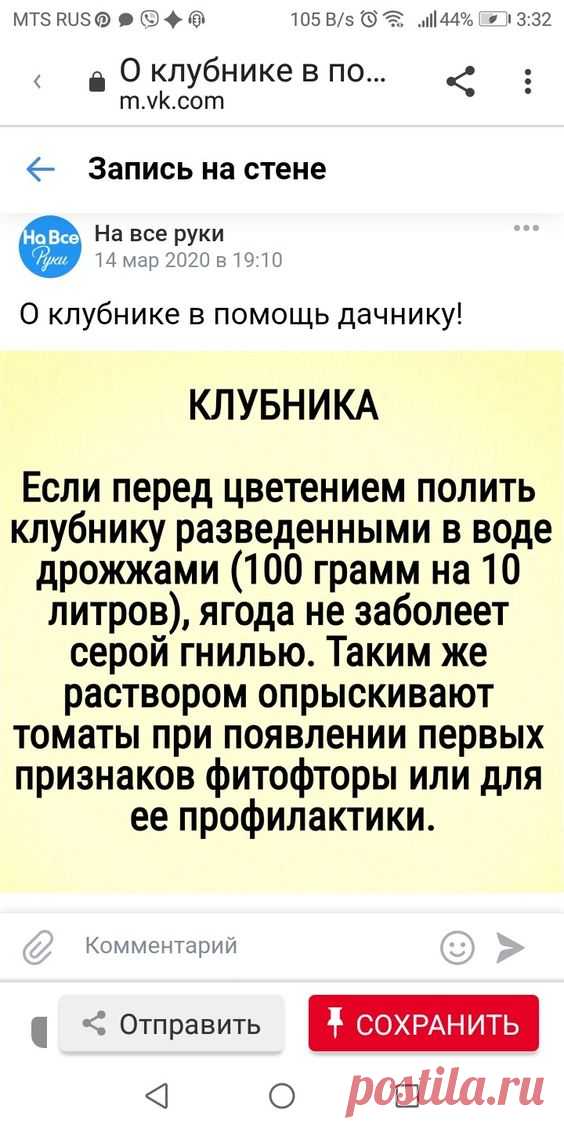 (75) Pinterest