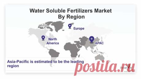 Water Soluble Fertilizers Market is likely to witness an impressive CAGR of 7.1% during the forecast period. Growing adoption of specialty fertilizers to meet the intensifying food demand, the many advantages of water soluble fertilizers over conventional fertilizers such as higher crop harvest and nutrient accessibility in the soil are some of the major factors driving the market growth during the forecast period.