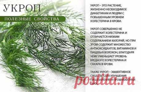 Здоровье. Йога. Красота. Сила. Дух. | VK