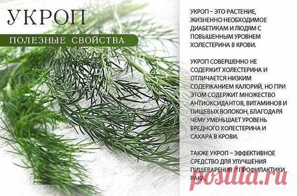 Здоровье. Йога. Красота. Сила. Дух. | VK