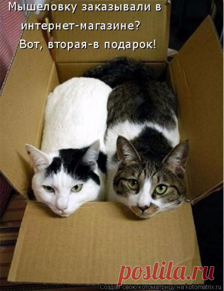 Улыбнитесь,ведь улыбка никогда не навредит... И только самого хорошего настроения!