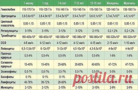 9 ПОКАЗАТЕЛЕЙ КРОВИ, КОТОРЫЕ РАССКАЖУТ ВСЕ О ВАШЕМ ЗДОРОВЬЕ 
Итак, что же говорит нам наша кровь? Анализ крови мы сдаем практически при любом заболевании. И грамотный врач непременно отправит вас первым делом “на кровь”. Для общего анализа кровь берется или из вены, или из пальца. И первичный анализ можно сдавать не натощак. Но для развернутого есть нельзя ни в коем случае! Помните это! 
Причина такого требования проста: любая пища изменит ваш сахар в крови, и анализ будет не объективен. Лучше