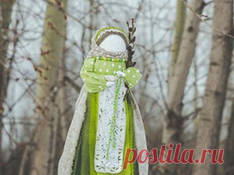 Куколка Вербница