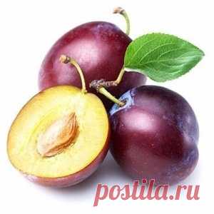 Удобряем сливу правильно
