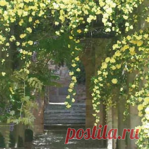 Сады Хенералифе | Гид в Гранаде и Андалусии