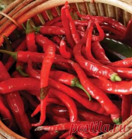 Остановить кровотечение за 10 секунд: какое средство почти мгновенно справится с этим без бинтов и перевязок Неприятность может случиться с каждым. Вот вы режете салат, как вдруг палец случайно кровоточит. Или маленькие дети — они так часто падают. Конечно, есть зеленка или йод, но полезно иметь в аптечке ср...