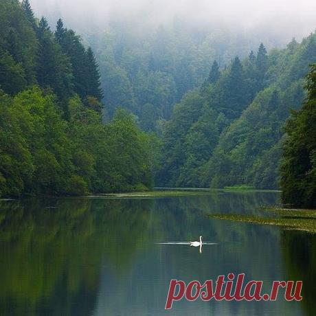 Умиротворение.