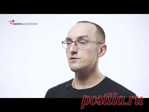 Упражнения для тренировки памяти и улучшения внимания