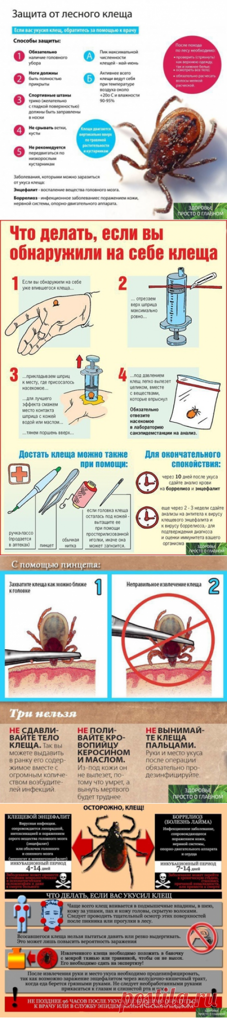 Понравилось