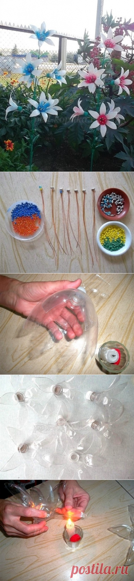 Цветы из пластиковых бутылок — Сделай сам, идеи для творчества - DIY Ideas