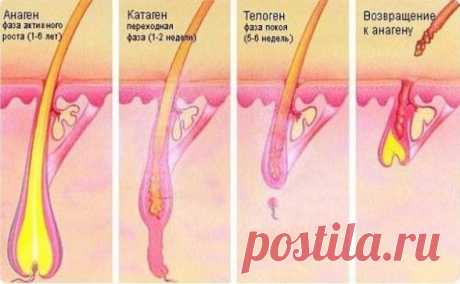 Волосы больше не выпадают