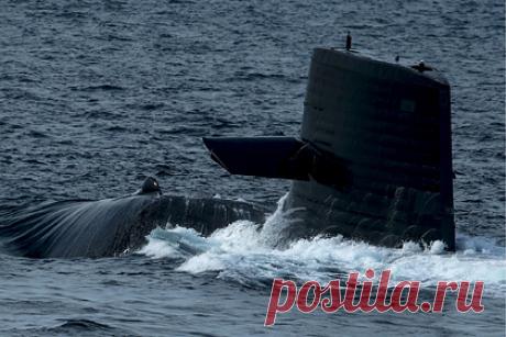 Япония расширит арсенал на фоне военной активности России у ее берегов. Морские силы обороны Японии установят новые ракеты повышенной дальности на свои подводные лодки. Об этом сообщило агентство Yomiuri со слов источников в японском правительстве. Несколько из них заявили, что новые ракеты, смогут поражать цели на расстоянии до тысячи километров.