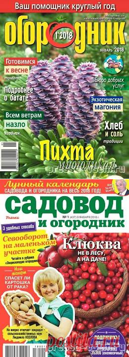 Пресса всем - Читать журналы онлайн.