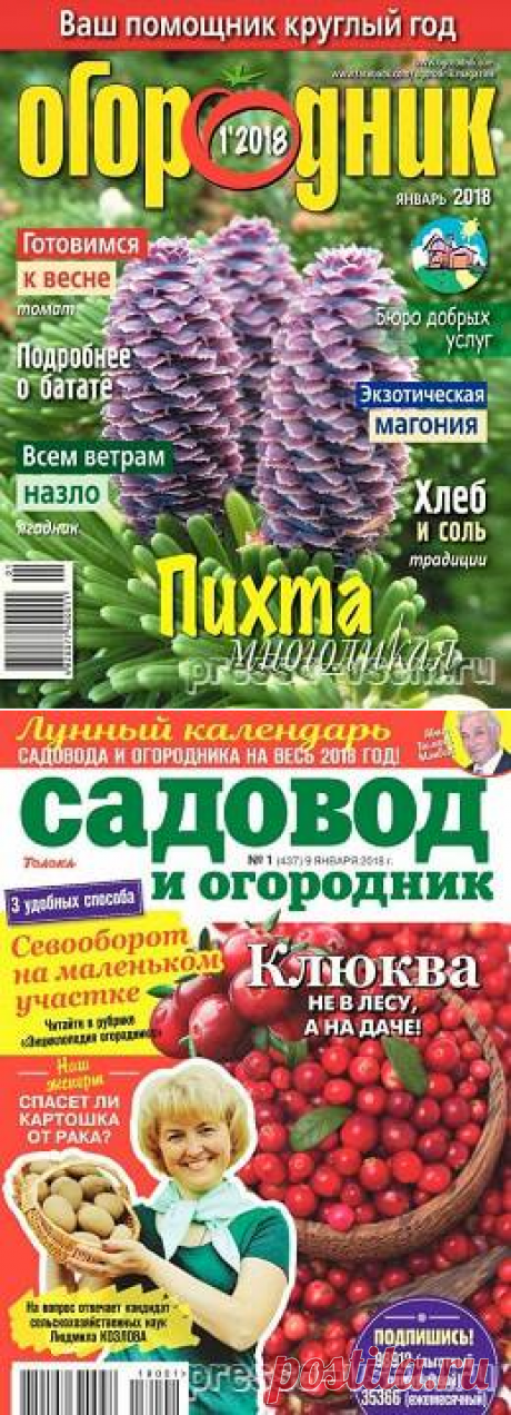 Пресса всем - Читать журналы онлайн.