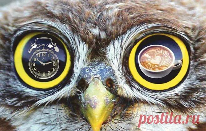 Сергей Власов (СЕВЛ) — Яндекс Кью