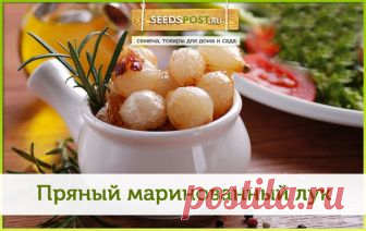 Почта Mail.Ru