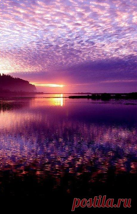 Sunrise / Sunset | Sunrise / Sunset
