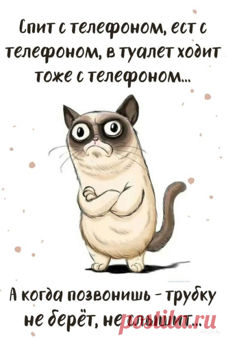 Коллекция забавных ВЕСЁЛЫХ картинок на разные темы