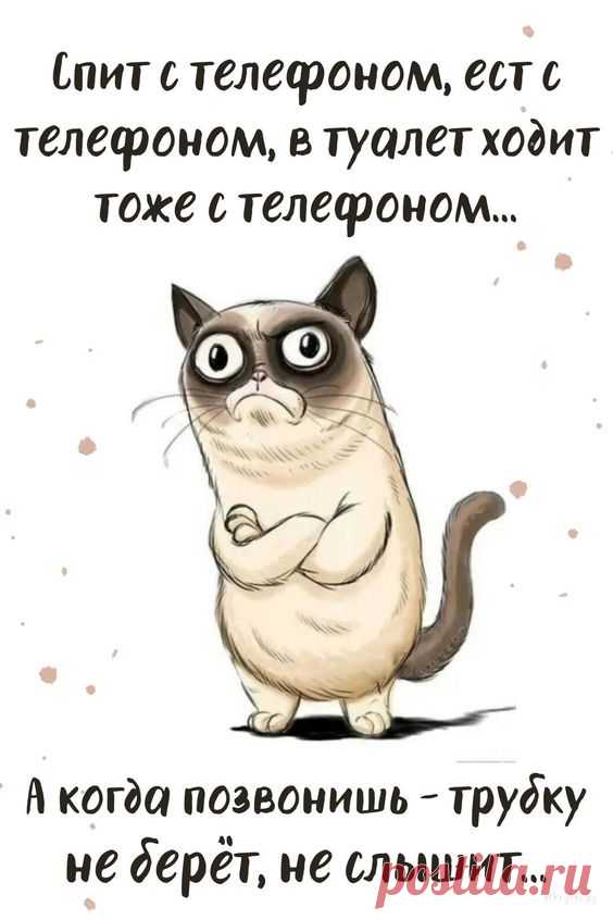 Коллекция забавных ВЕСЁЛЫХ картинок на разные темы