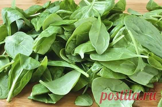 8 продуктов, которые нужно есть каждый день