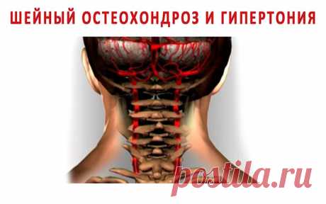 Сегодня собственная шея убивает втрое больше людей, чем онкология Лучше правильно крутить шеей, чем пить горстями таблетки от давления и жить в постоянном страхе инфаркта и инсульта!