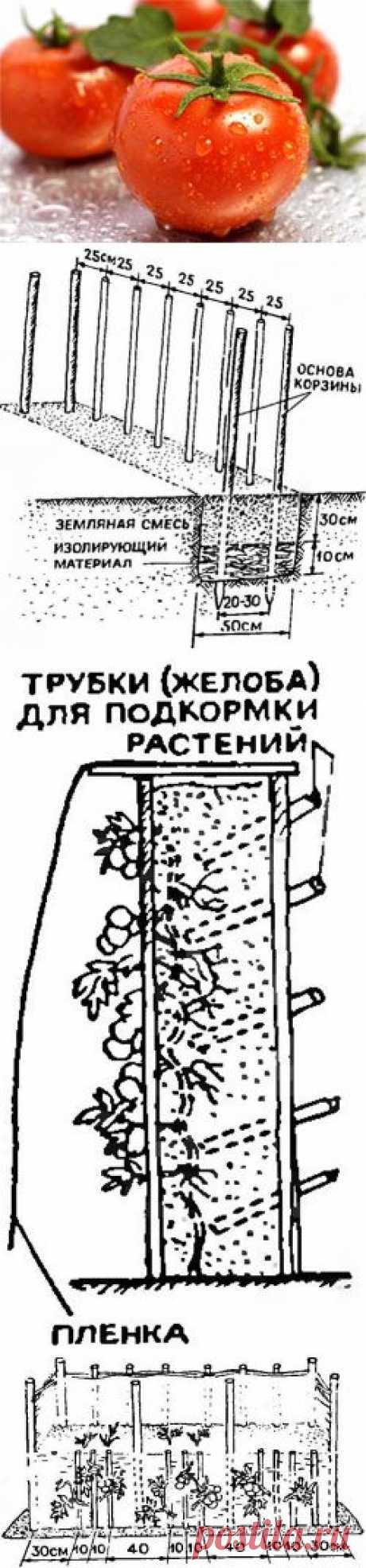 Помидоры в "корзинке" - Свое хозяйство * - Сборник - Познавательный Интернет-журнал "Умеха - мир самоделок"
