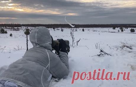 КГБ Белоруссии проводит учения в Минской и Витебской областях. Сценарием учений предусмотрено задействование военной техники