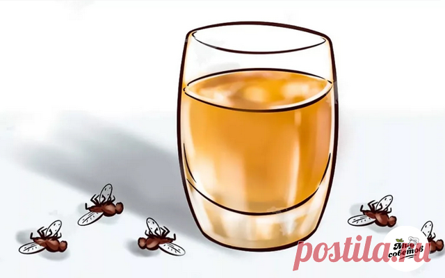 (37) Одноклассники