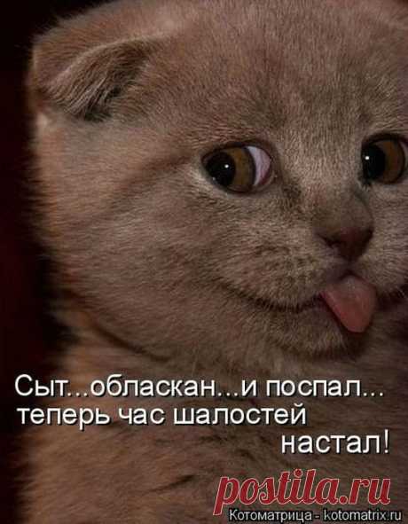 (9) Pinterest