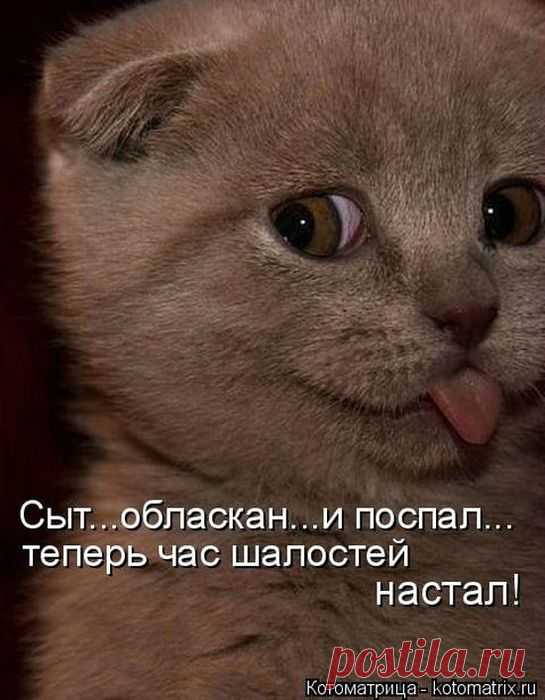 (9) Pinterest