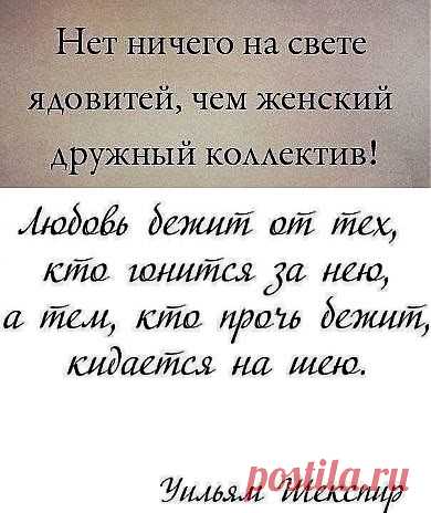 Защитница и другие популярные материалы на Постила.ru - lysenko_oksana1@mail.ru - Почта Mail.Ru